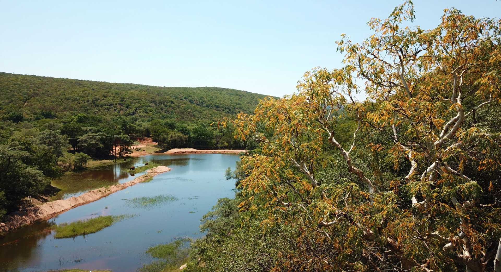 Farm for Sale - Limpopo