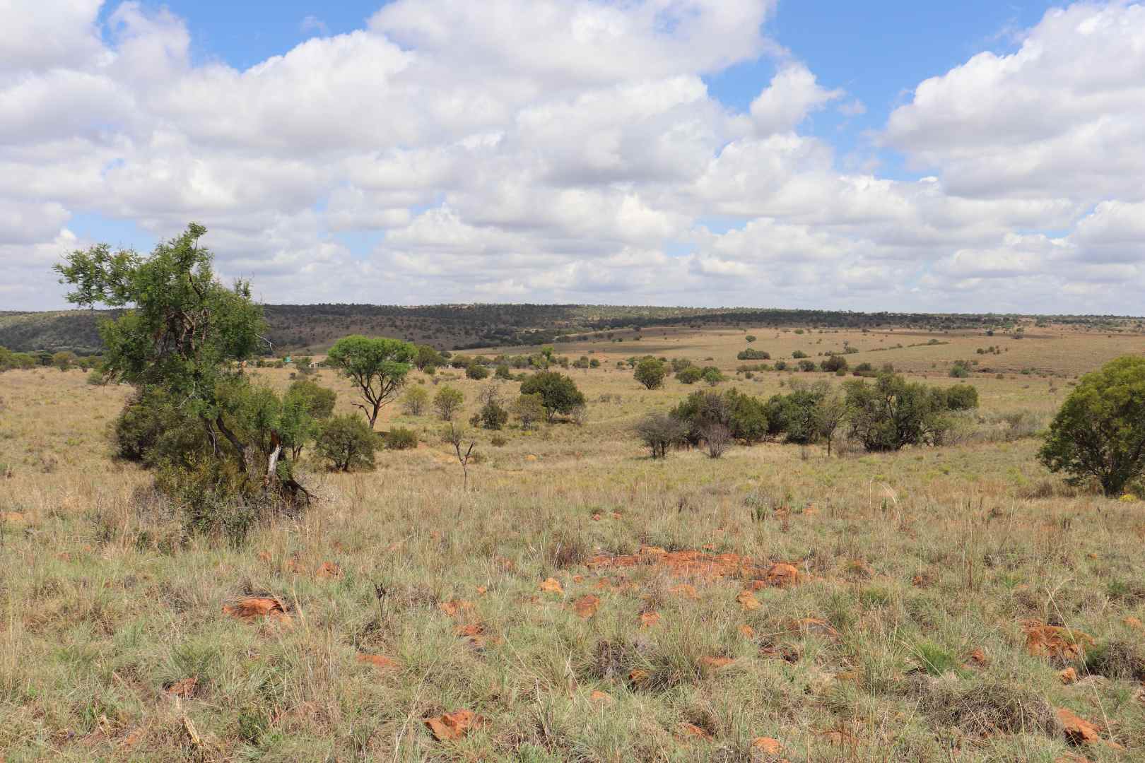 Farm for Sale - Mpumalanga