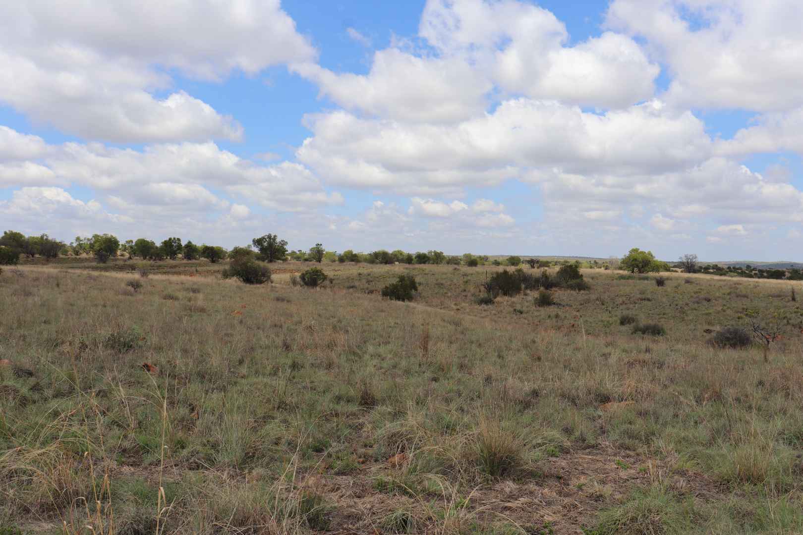 273078379.jpg