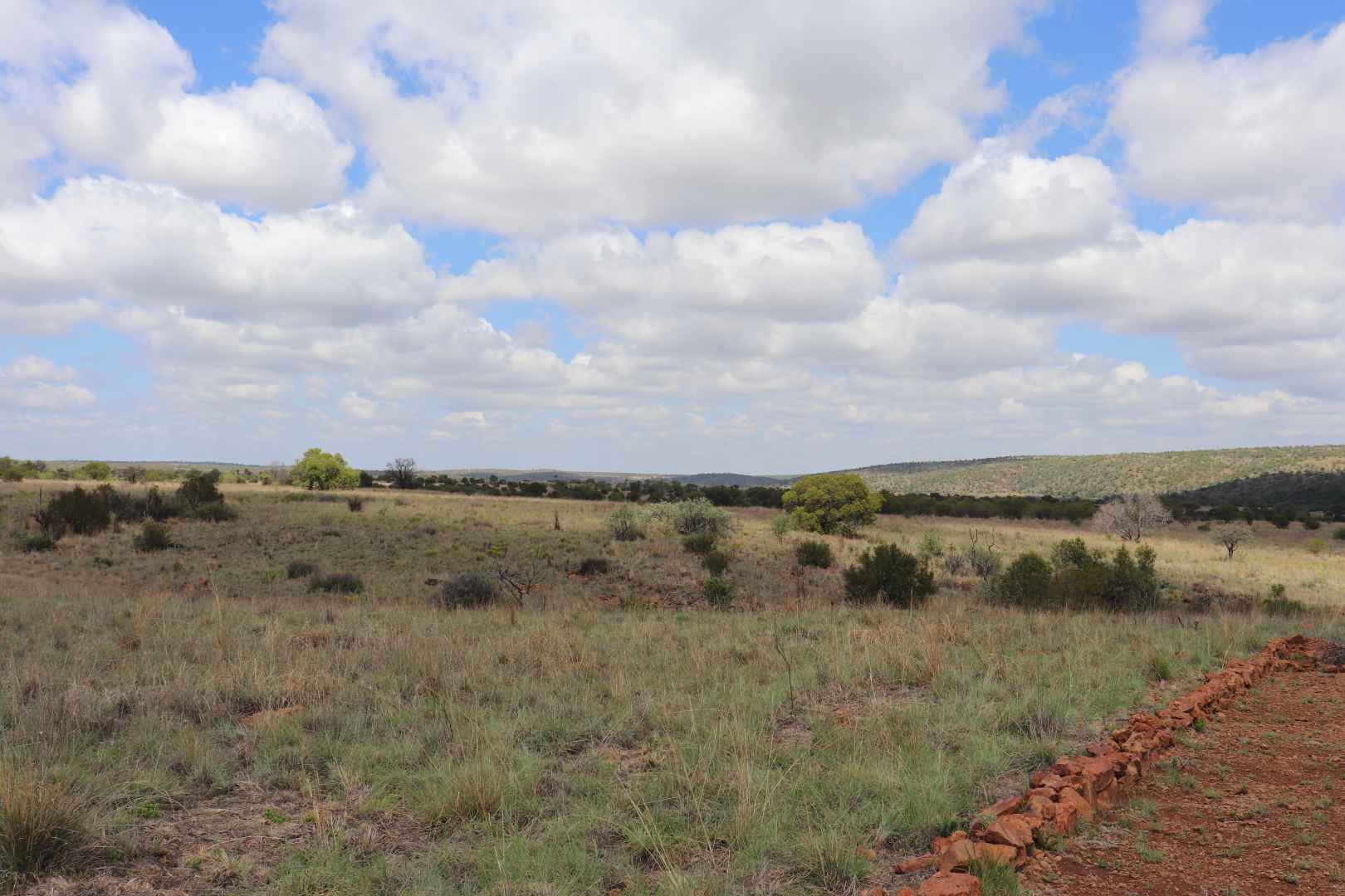 273078380.jpg