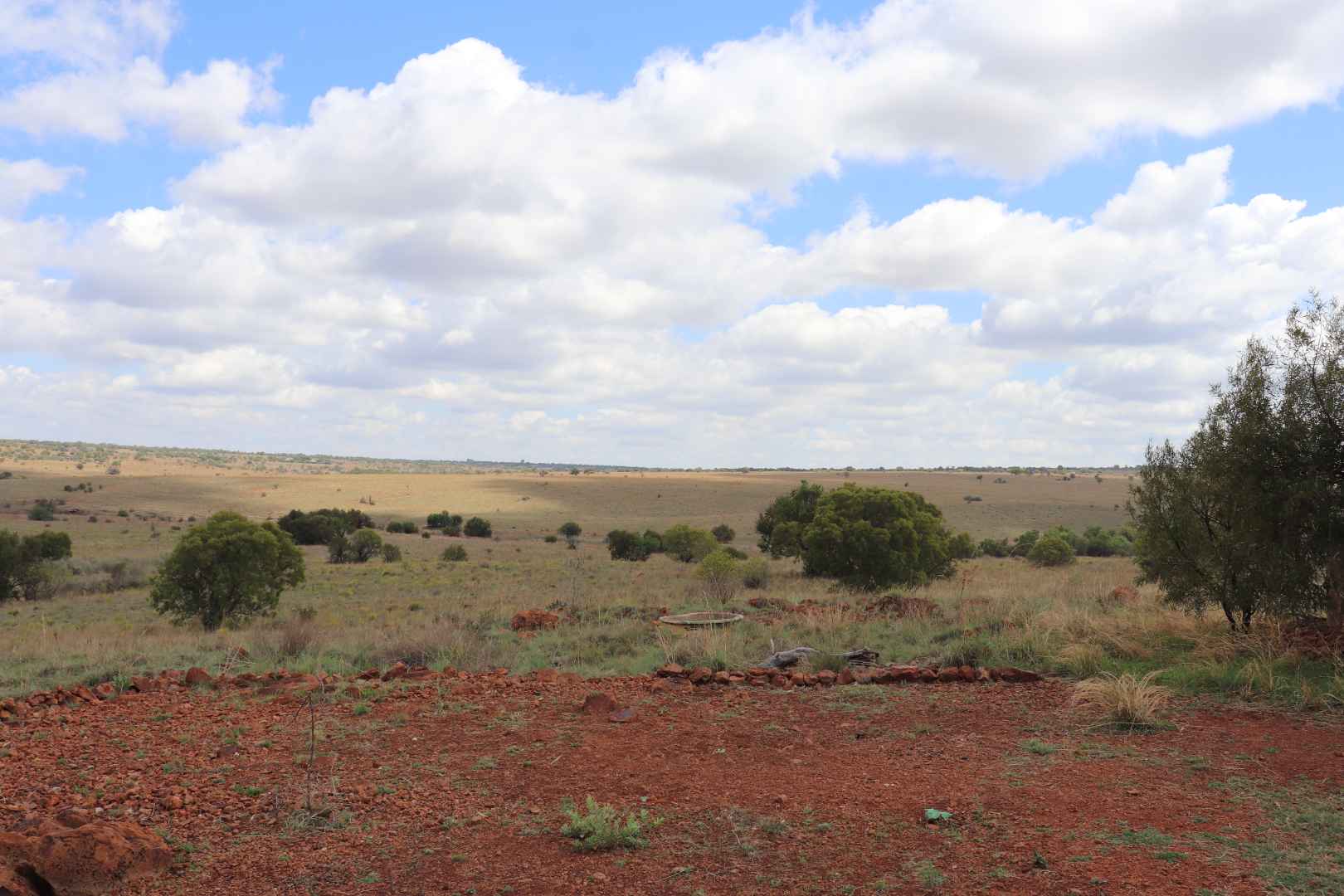 273078382.jpg