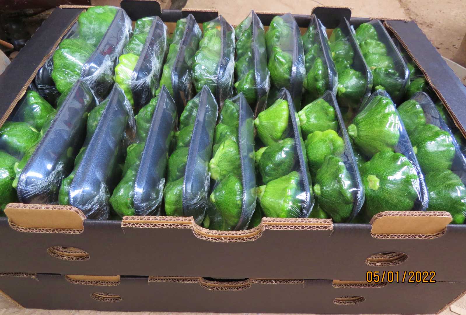 276305506.jpg