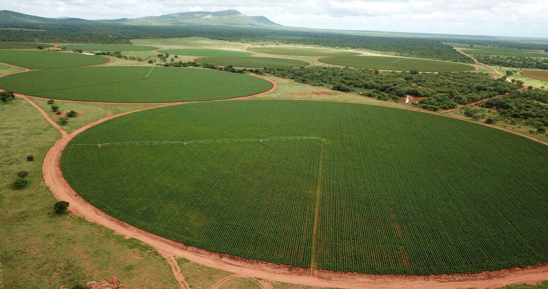 Farm for Sale - Limpopo