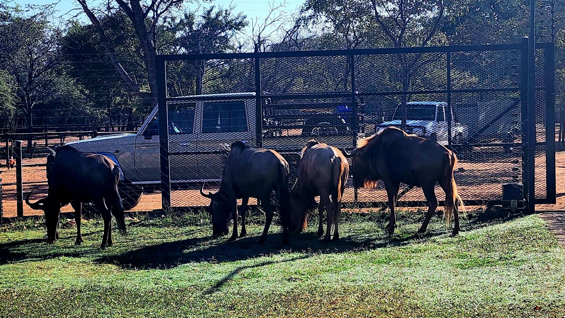 4 Bedroom Farm for Sale - Gauteng