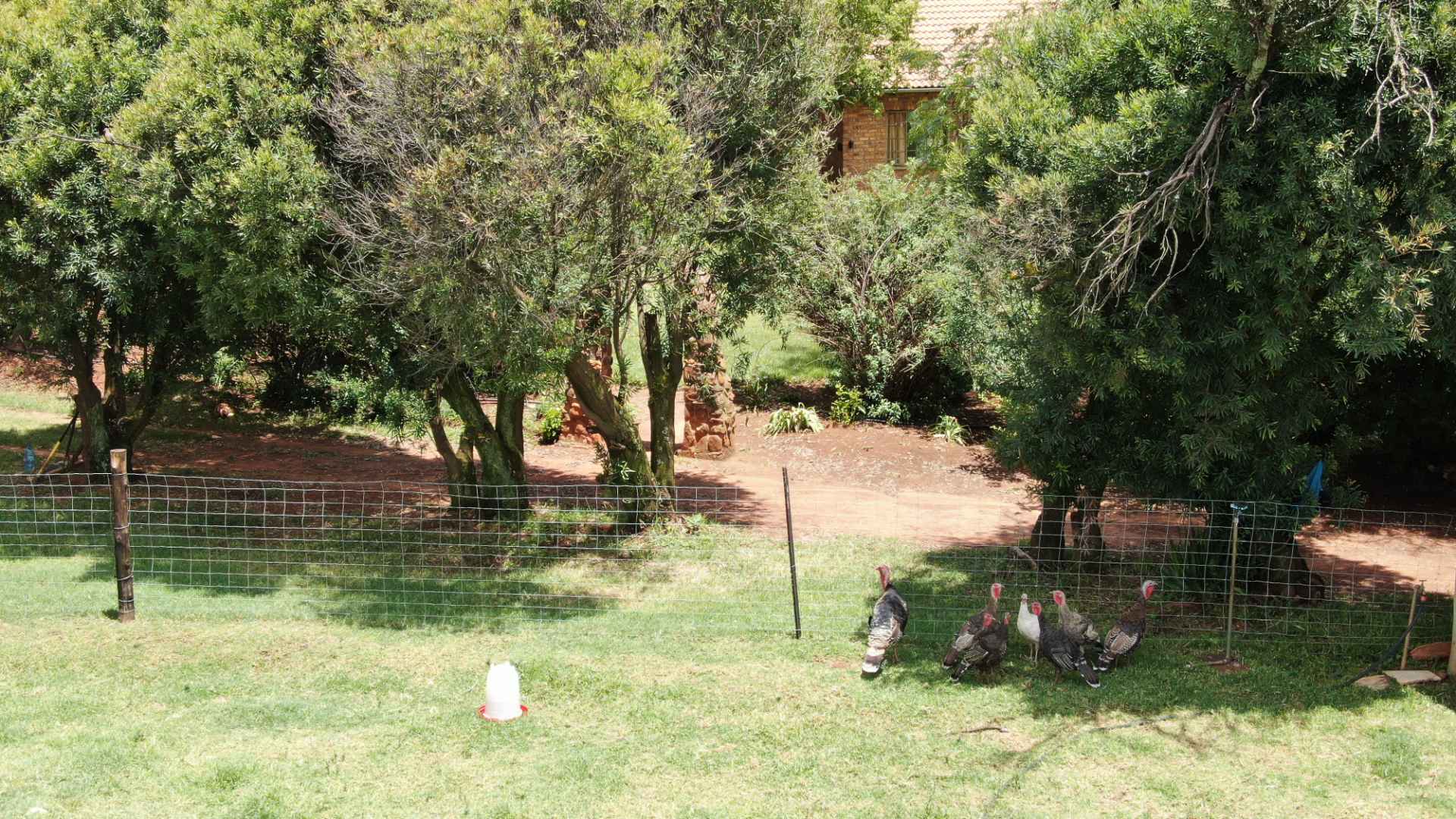 320535743.jpg