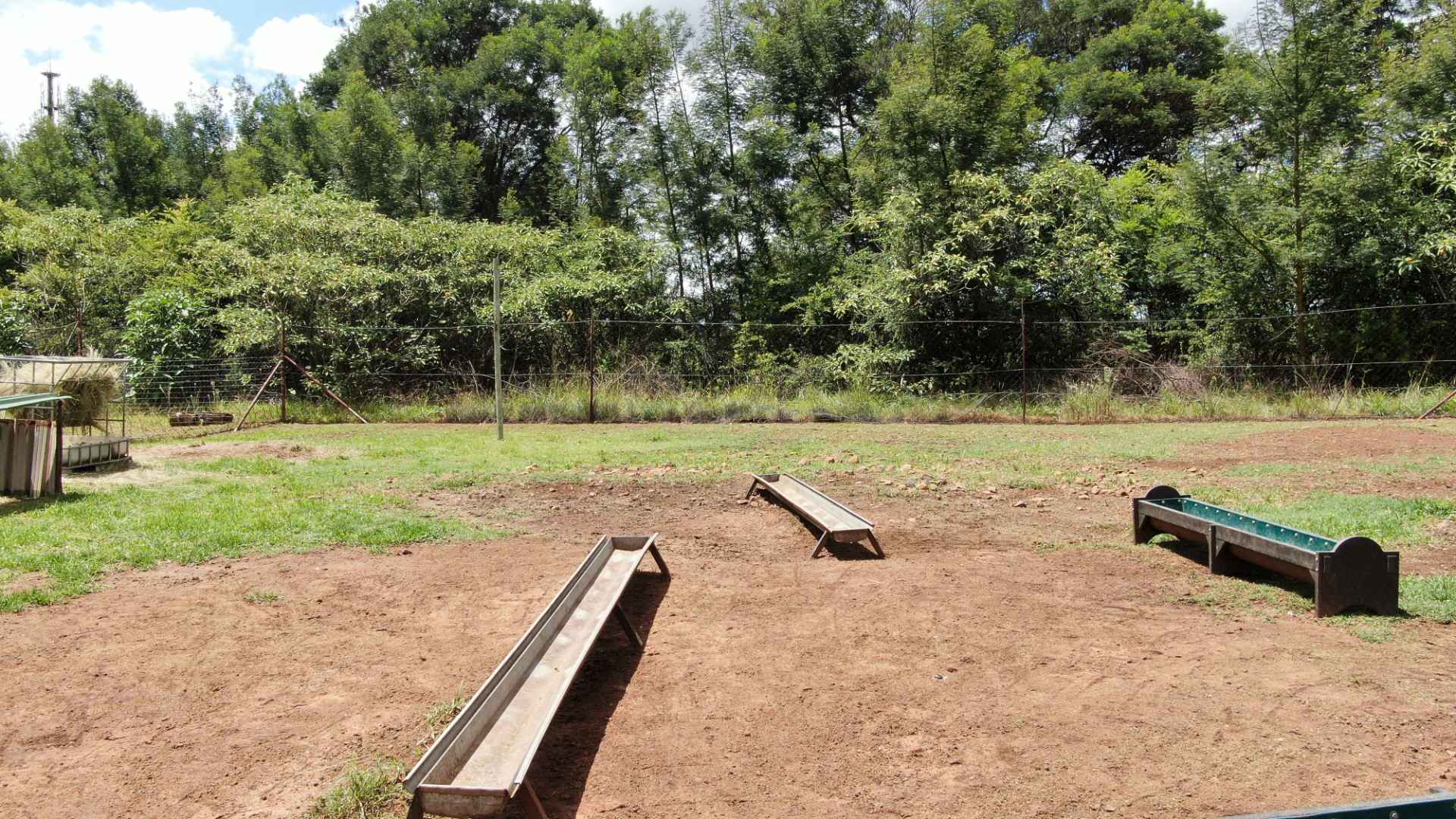 320535792.jpg
