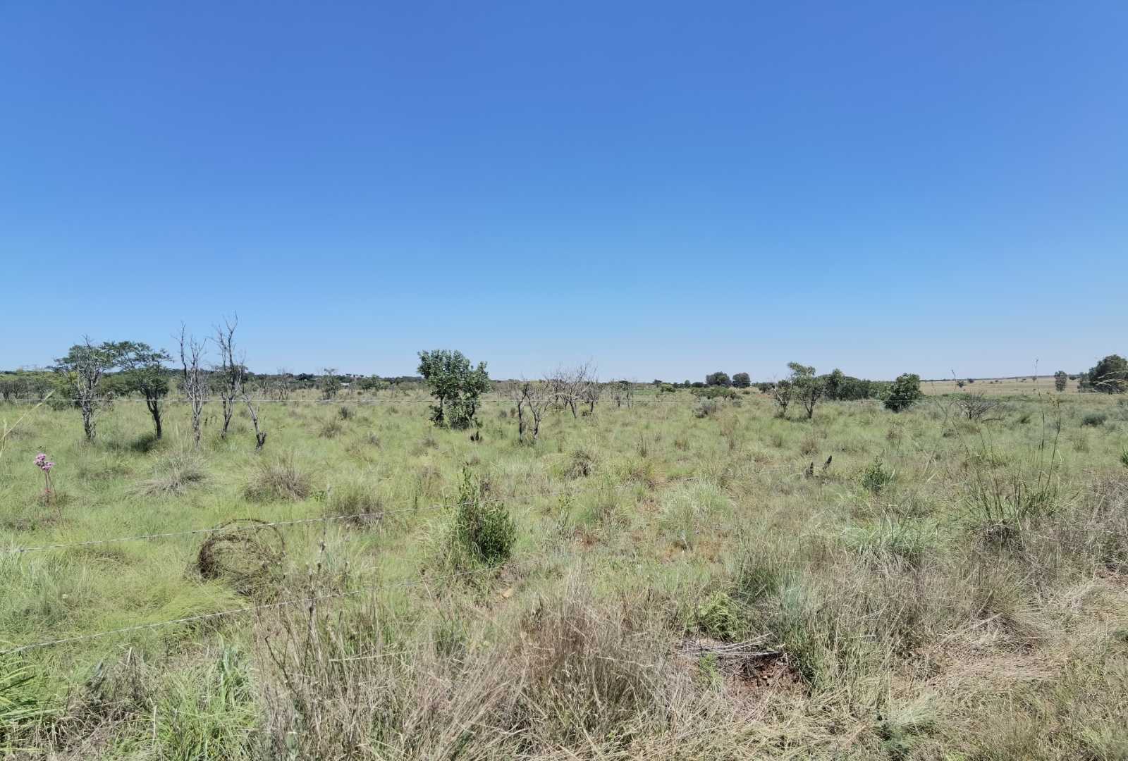 Farm for Sale - Gauteng