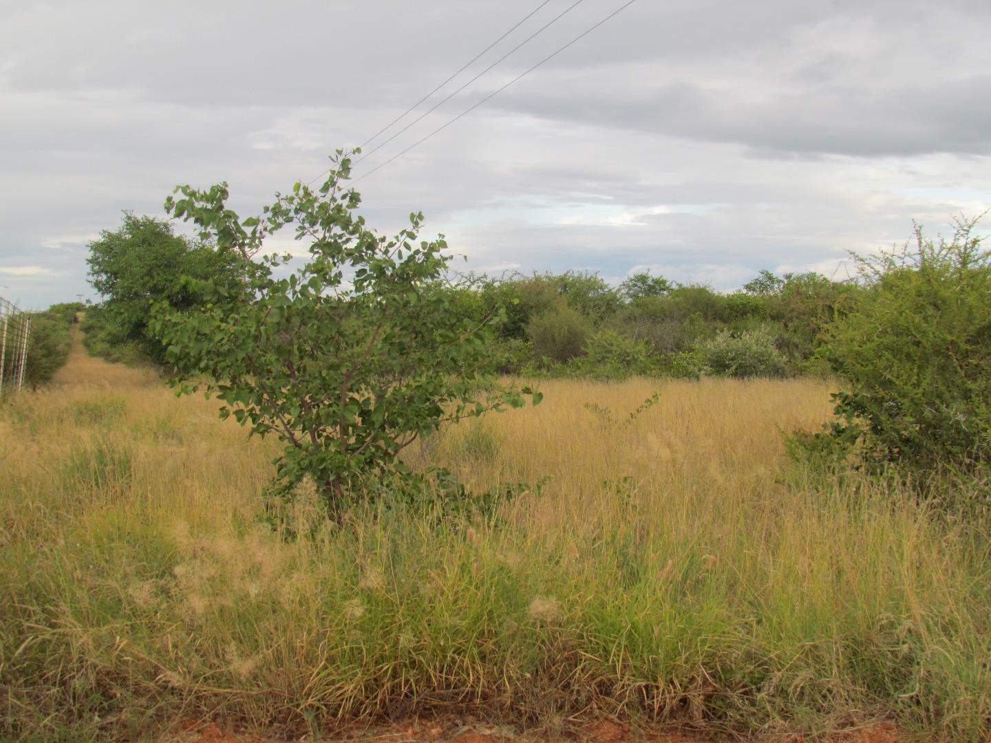 Farm for Sale - Limpopo