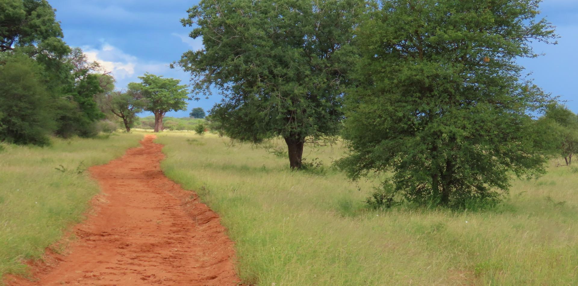 Farm for Sale - Limpopo
